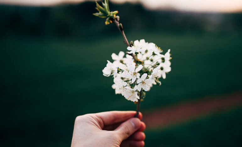  Spring Fever Can Change Your Friendships