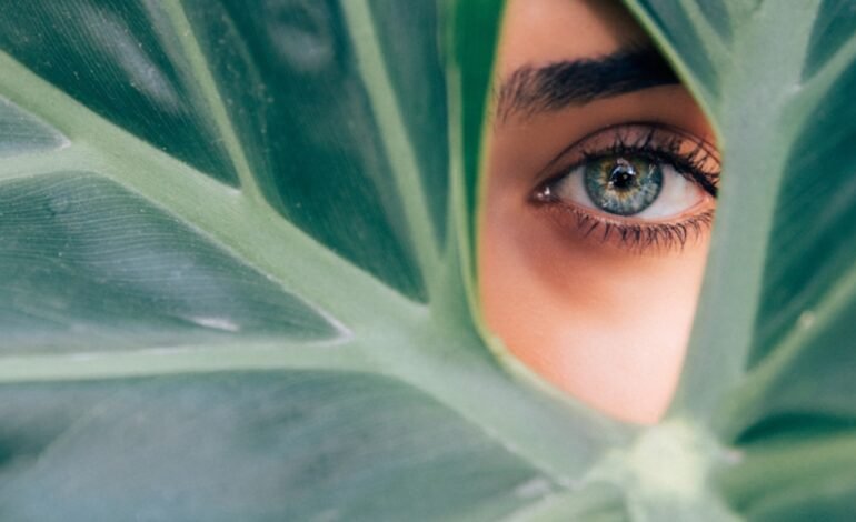  The Power Of A Plant Based Diet For 2019