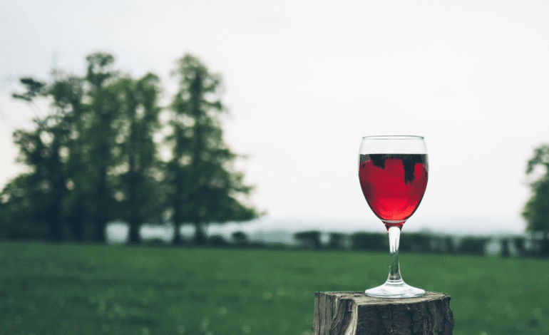  Have You Heard? FINGER LAKES Is Your Best Bet To Experience Wine and Waterfalls