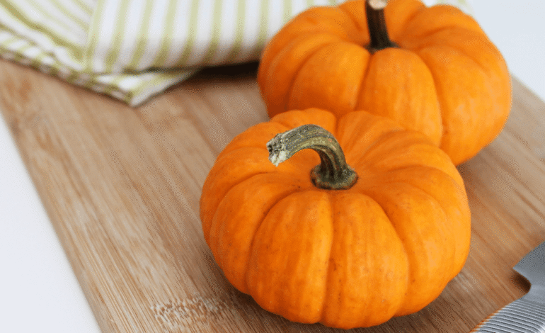  Fall Is Pumpkin Season