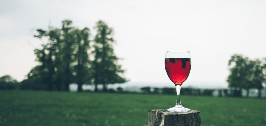 A glass of wine on a tree trunk upstate NYC, Finger Lakes
