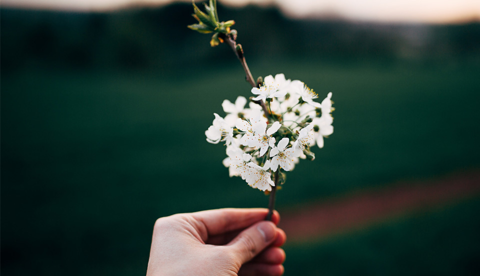 Spring Fever Can Change Your&nbsp;Friendships