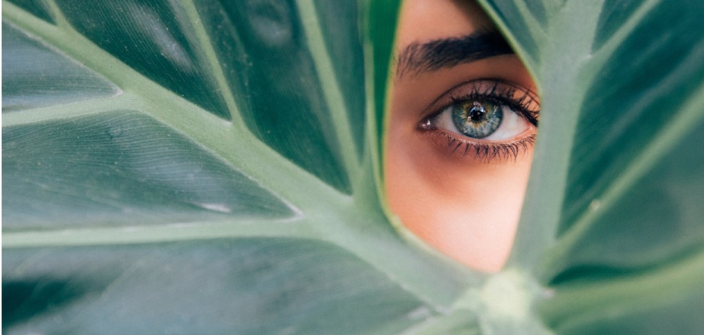 A women's eye peeking through a big leaf plant