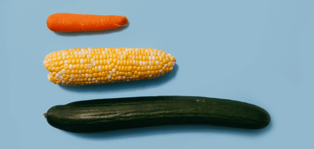 Three vegetables: Cucumber, Corn, and a Carrot of Various Sizes